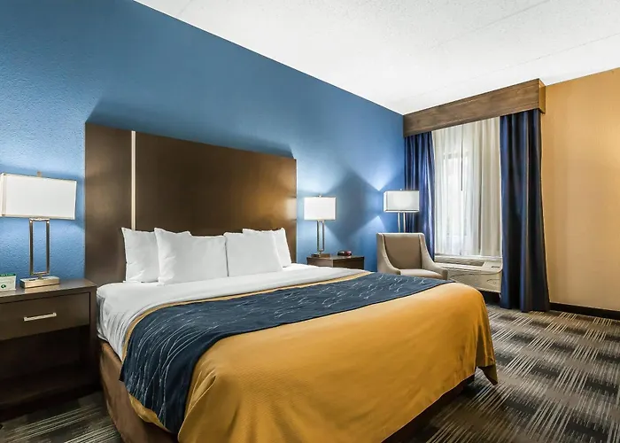 Comfort Inn Cleveland Airport Middleburg Heights