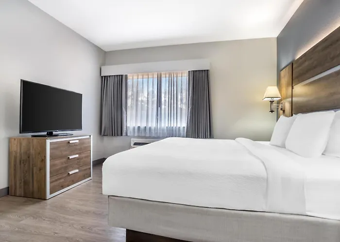 Best Western Wakulla Inn & Suites Crawfordville