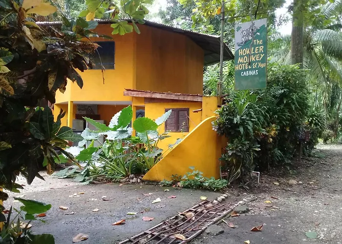 Howler Monkey Hotel Montezuma