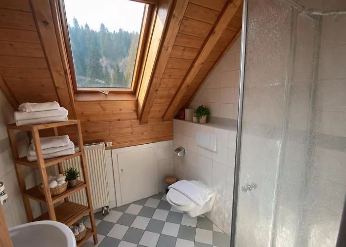 Self-check-in Ferienwohnungen&Apartments am Bergsee Triberg im Schwarzwald
