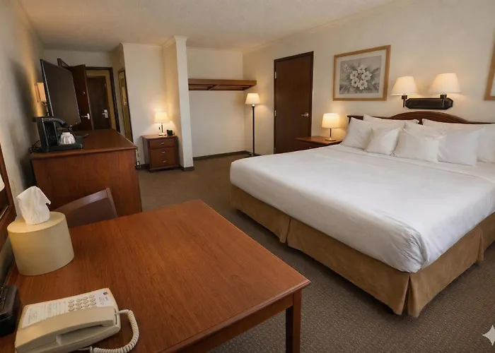Lone Tree Inn Sidney
