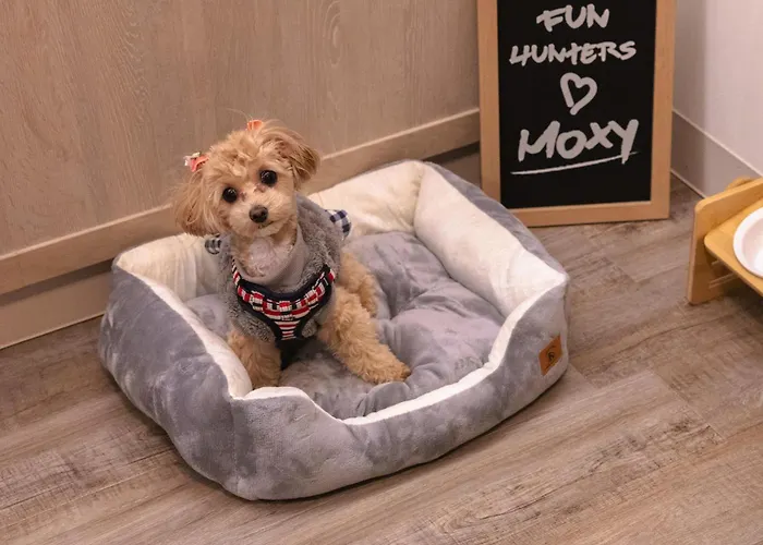 Moxy Osaka Honmachi Hotel