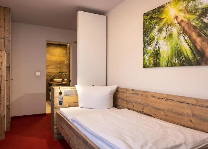 Hotel Salinensee Bad Dürrheim