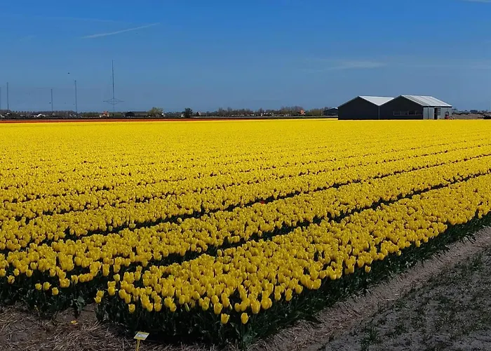 Bij van der Veer Julianadorp