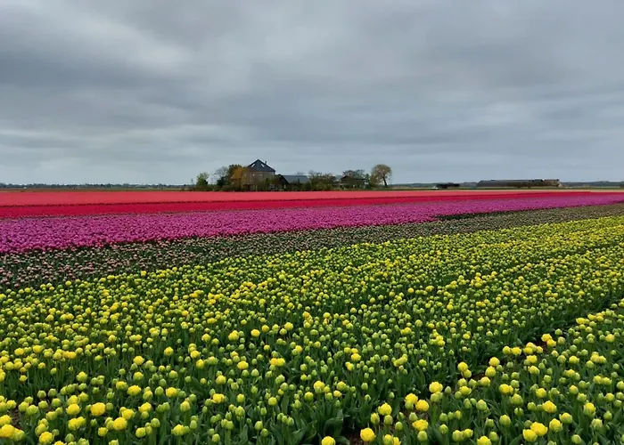 Bij van der Veer Julianadorp