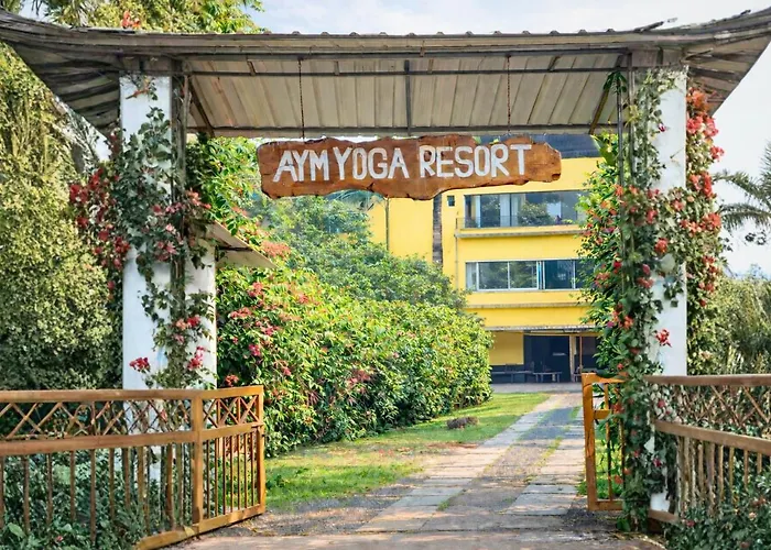 Aym Yoga Resort Arambol Goa