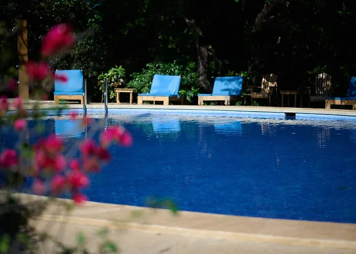 Hotel Playa Negra
