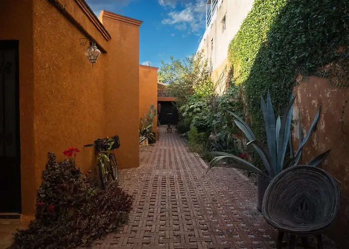Niyana Oaxaca Hotel