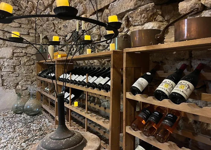 Le Domaine Du Fortin Ménerbes