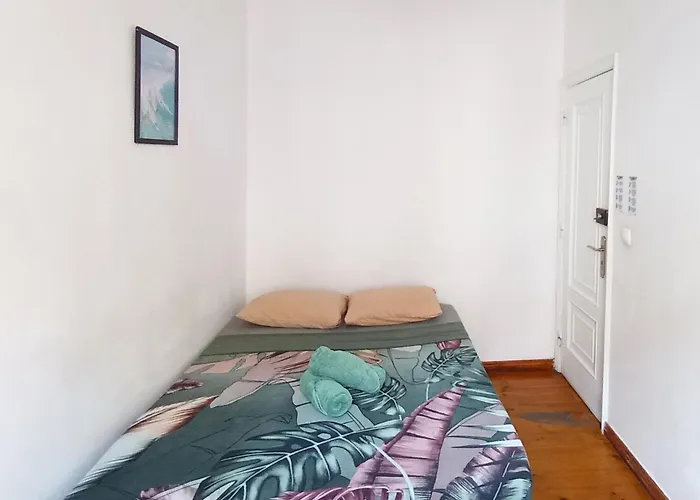 Central Lisbon Rooms In Palmira Shared Apartment For Surf Lovers