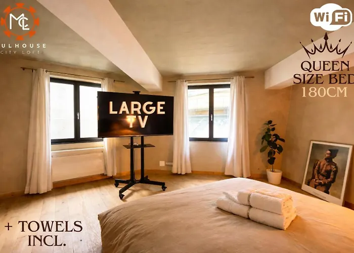 Mulhouse City Loft