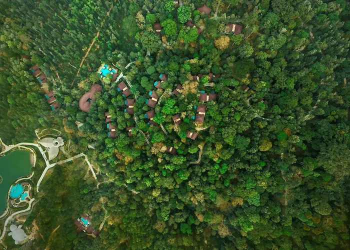 Timbertales Luxury Resort Coorg Madikeri
