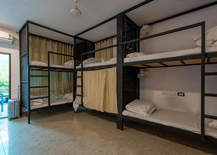 Whiite Panda - Backpacker Hostel In Delhi Greater Kailash New Delhi