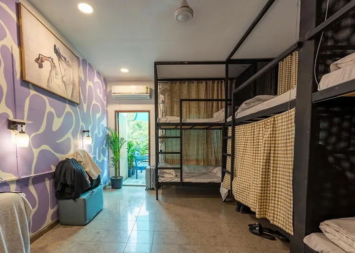 Whiite Panda - Backpacker Hostel In Delhi Greater Kailash New Delhi