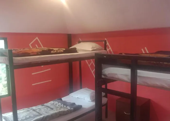 The Green Regency Annexe Munnar
