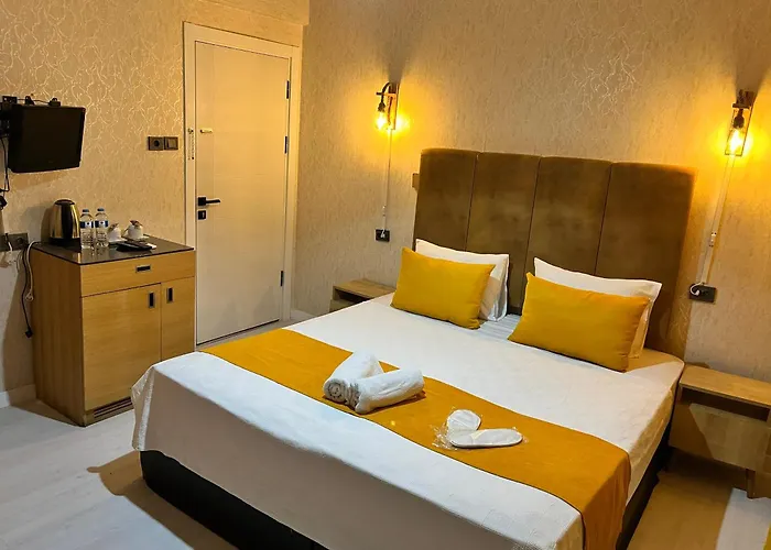 Edırne Suıt Otel İnşaat Tıcaret Ve Sanayı Lımıted Şırketı