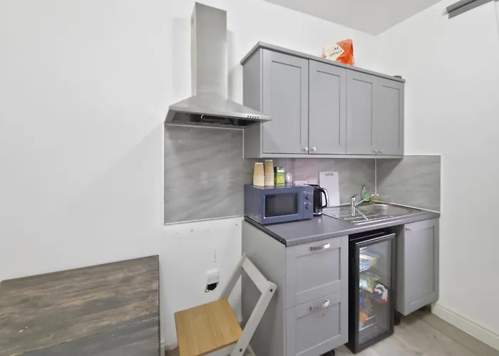 Room For 5 In Zone 2 - Willesden Green London