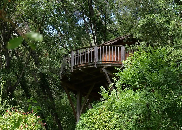 Orion Treehouses Saint-Paul-de-Vence