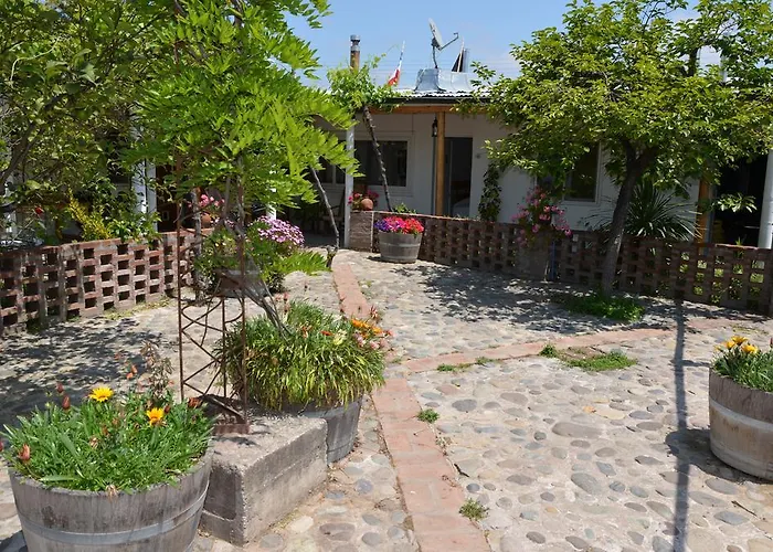Hostal Petit Verdot Santa Cruz