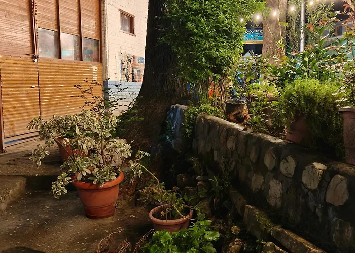Art Cafe Kasol Hotel