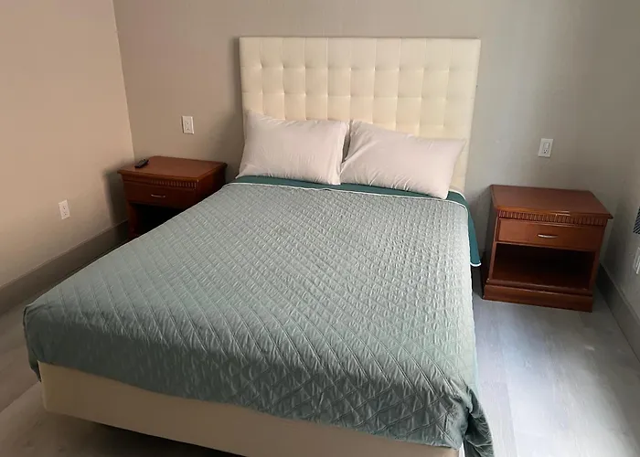 Palm Hotel Near Lax Airport Hawthorne