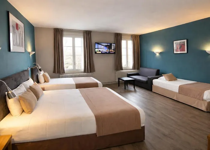 Hotel Des Cedres Orléans
