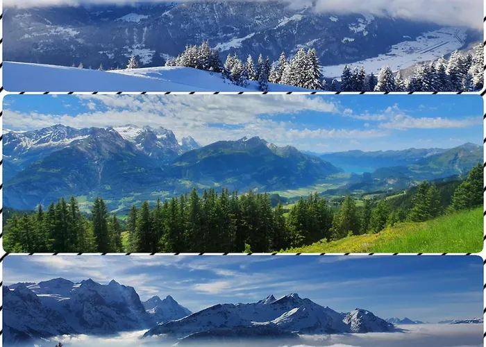 Parkhotel Du Sauvage Meiringen