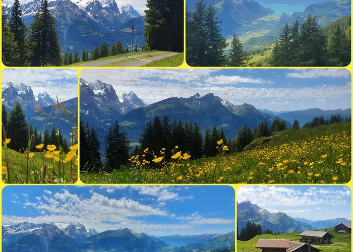 Parkhotel Du Sauvage Meiringen