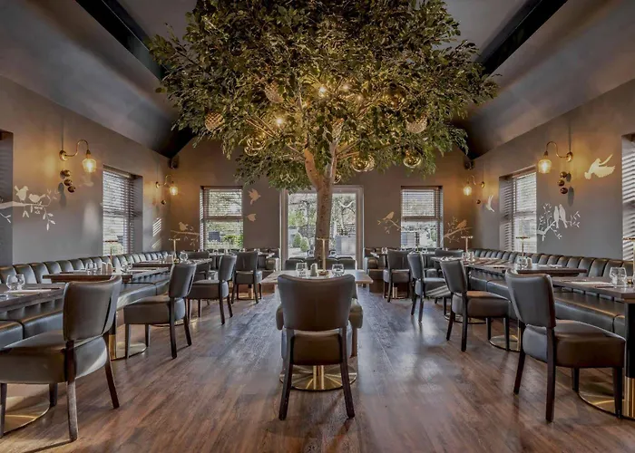 The Kinmel & Kinspa Abergele