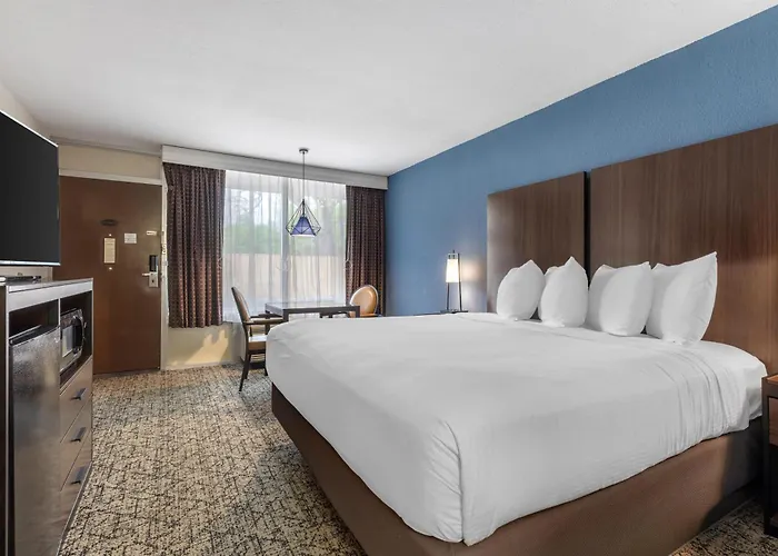 Best Western Winners Circle Hot Springs