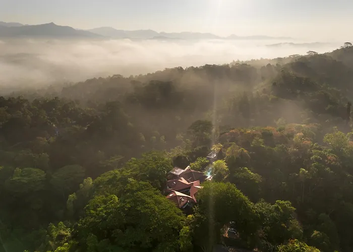 Tree Of Life Nature Resort Kandy
