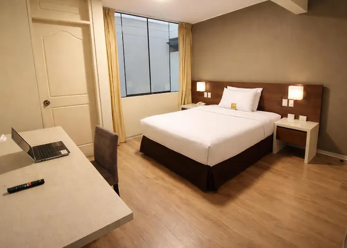 Palmetto Hotel Business La Perla Lima