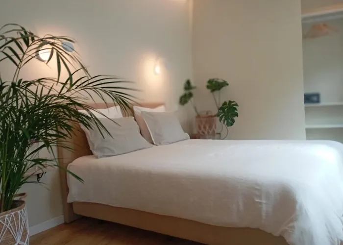 Santa Cruz - B&B Lagos