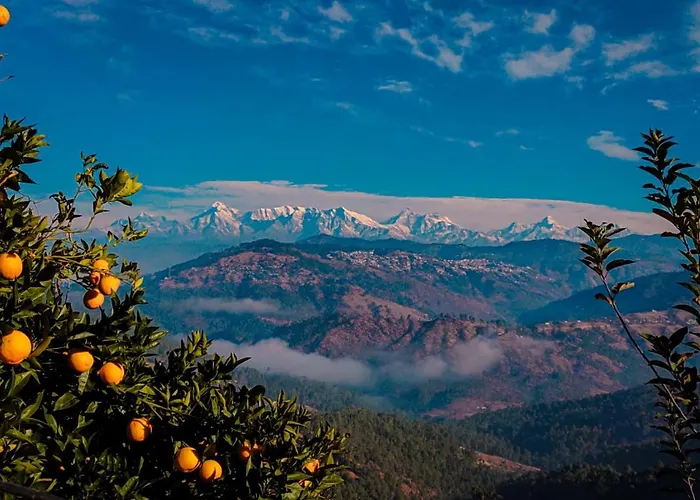 The Orchard At Peora Estates Hotel Mukteshwar