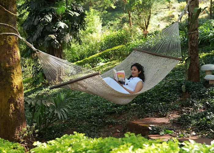Trivik Hotels & Resorts, Chikmagalur
