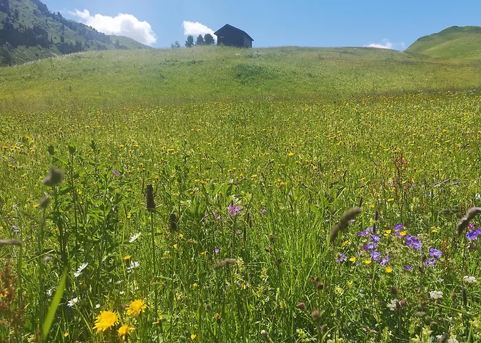Apart-Wolf-Arlberg Warth 