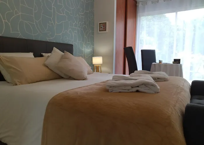 Fleurs De Cosmos Chambre D' Hotes Albi