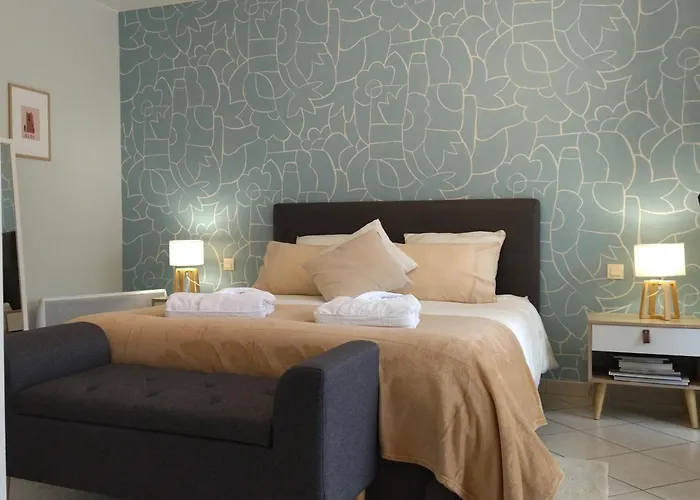 Fleurs De Cosmos Chambre D' Hotes Albi