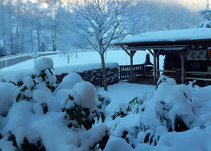 Pension Haus Rose Oberharmersbach
