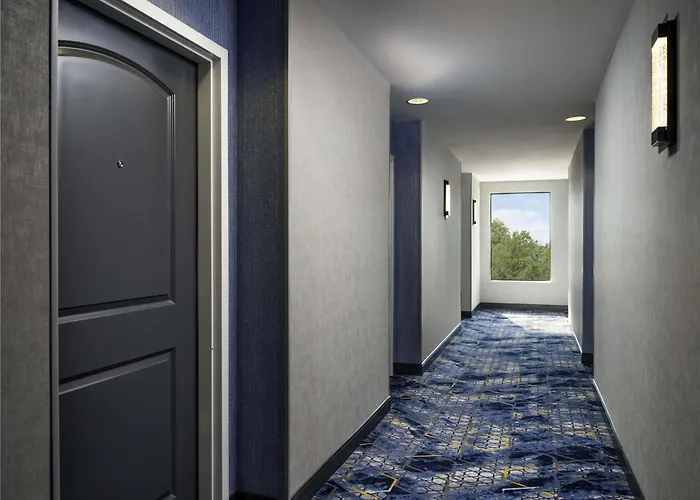 Hampton Inn & Suites Dallas-Dfw Airport Hurst