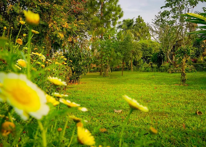 Sapana Village Lodge Sauraha