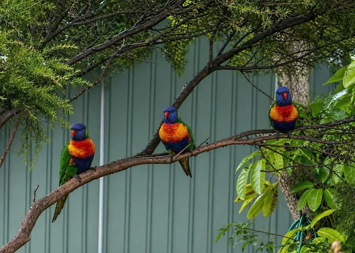Batemans Bay Holiday Park & Hostel