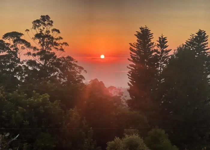 Tamborine Mountain Bed And Breakfast