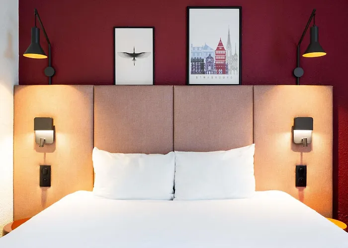 Ibis Strasbourg Centre Petite France Otel