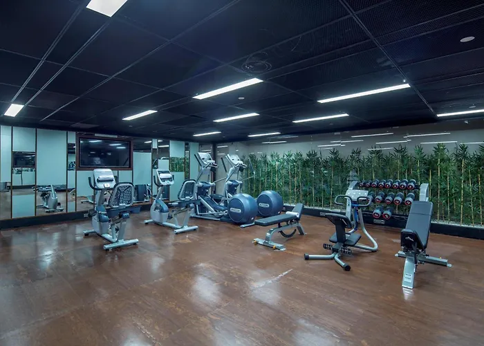 Hilton Garden Inn Istanbul Atatuerk Airport