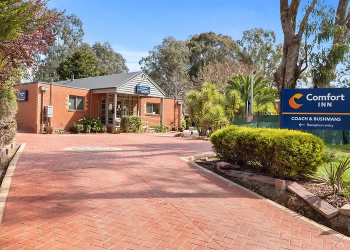 Comfort Inn Coach & Bushmans Seymour