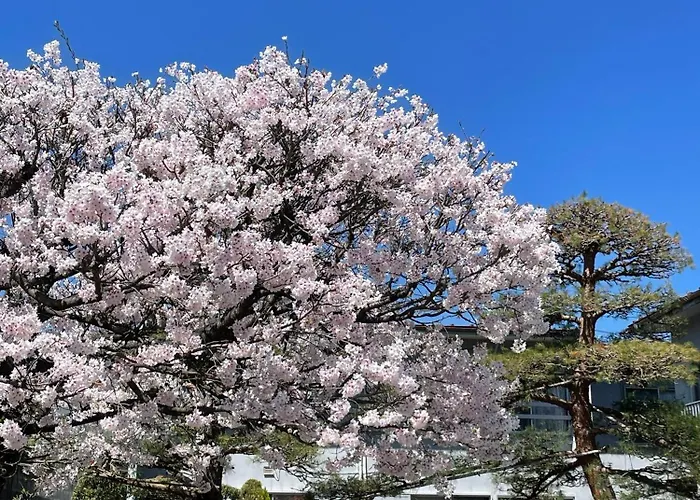 Minshuku Nakano Fujiyoshida