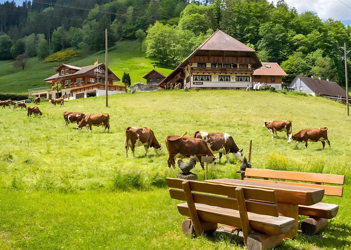 Hotel Josenhof Wolfach