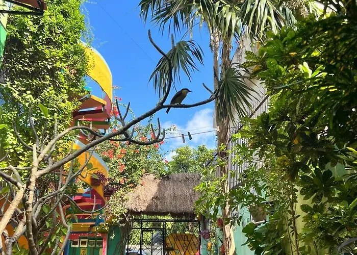 Hotel Colorado Playa del Carmen