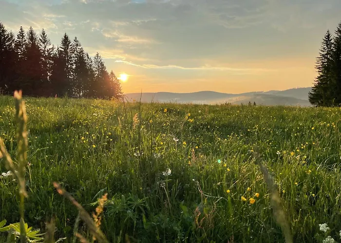 Black Forest Dream Apartments Feldberg 
